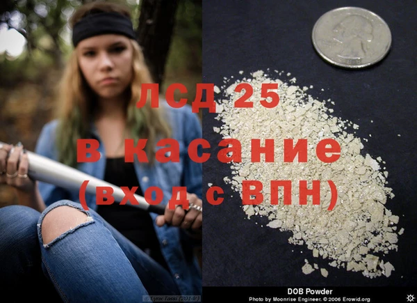 дмт Дмитровск